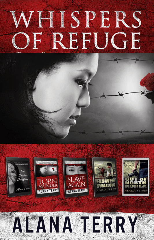 North Korean Christian Fiction Bundle (paperback)